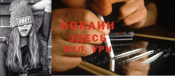 apvp Бородино